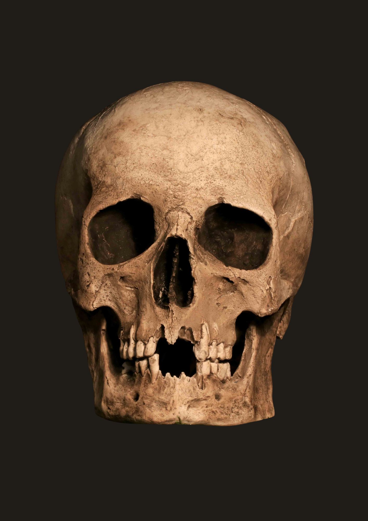 Repliky lebek — ručně vyrobené keramické repliky