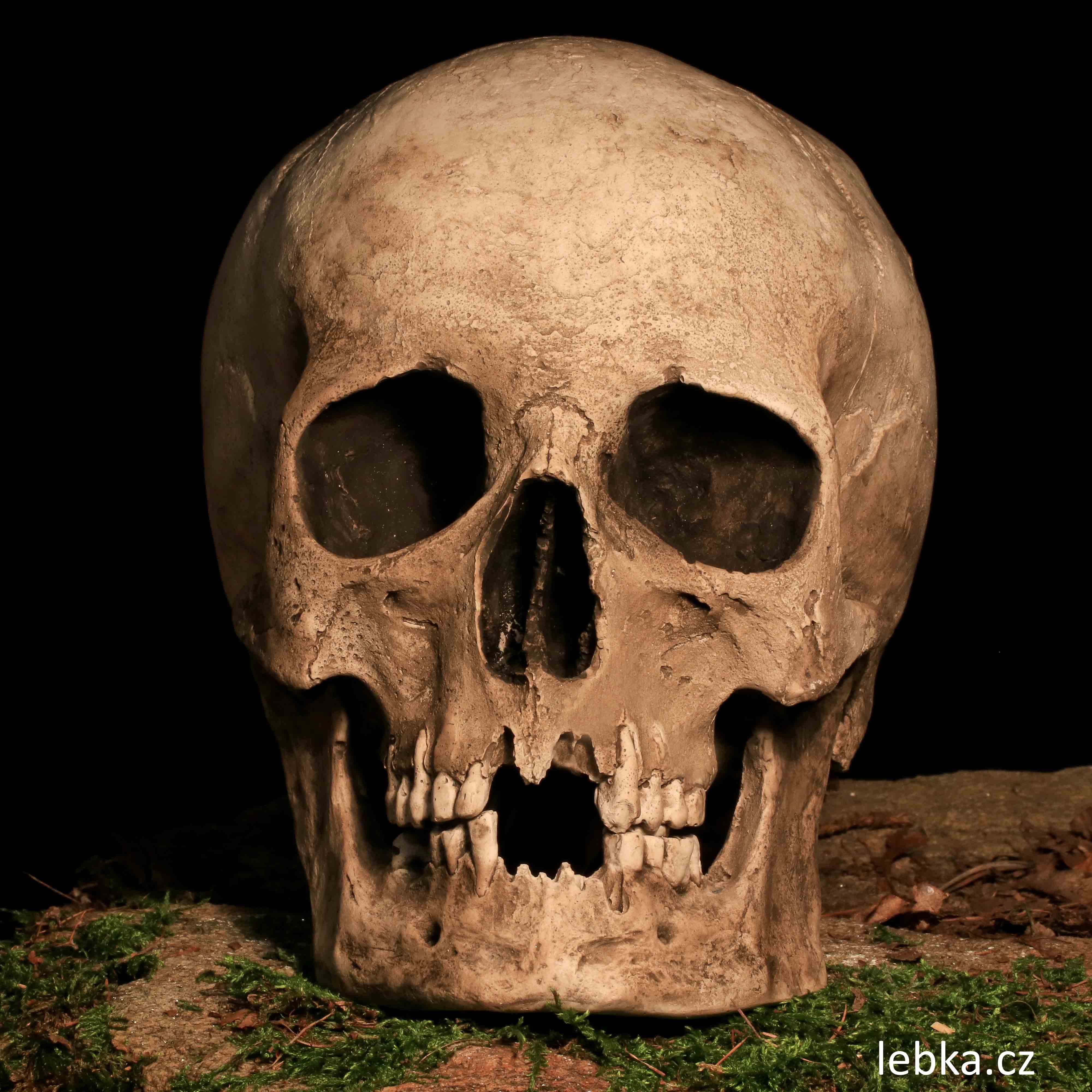 Repliky lebek — ručně vyrobené keramické repliky